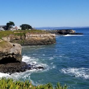 Meet your Posher, Brandi